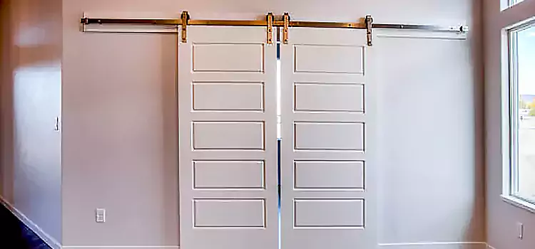 Glass Barn Door with Installation Hardware Kit Augusta